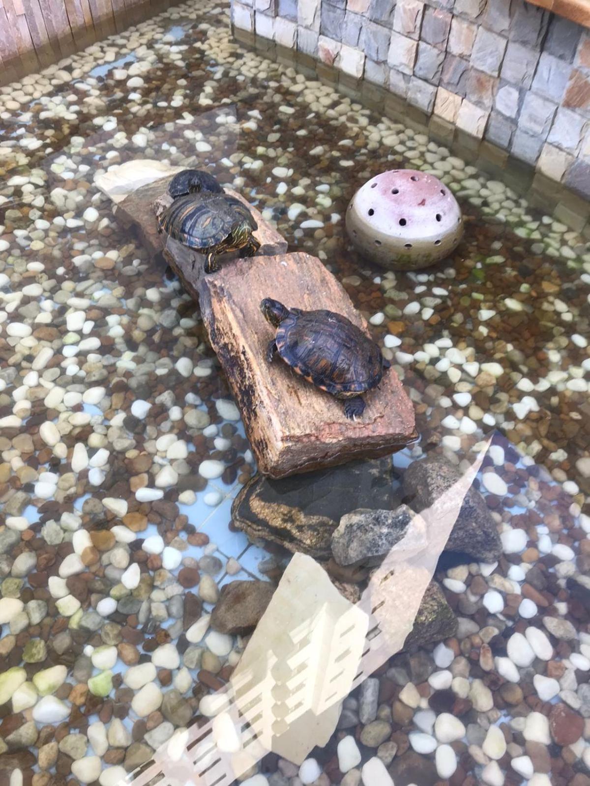Apto Top No Tombo 瓜鲁雅 外观 照片